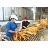 浏阳2023年烤烟收购工作开启，预计收购烟叶18万担