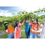 闻香识药 “沉浸式”感受中医药魅力
