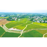《浏阳日报》头条丨永安镇：乡村产业百花齐放，集体经济喜结硕果