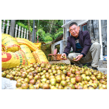 十万亩油茶“上新”