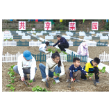 认养一份田，“城市农夫”欢乐开锄