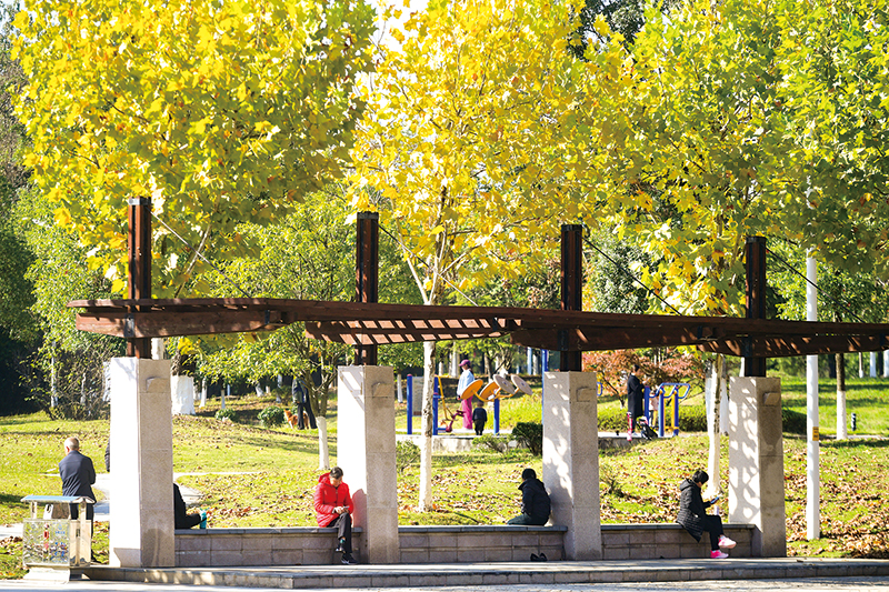 01版封面-3.jpg