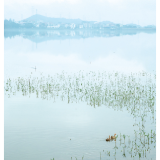 一湖春水绿如蓝