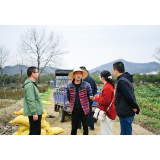 走湘村 看龙村丨龙年看“龙”村，看见新农村