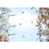 空中飞舞大“蜜蜂”