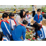 十年探索，践行推广“自然食育”