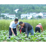 浏阳中报丨浏阳农商银行：提升金融服务质效，擦亮金融为民底色