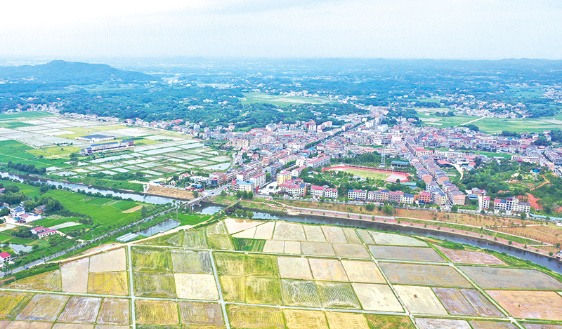 14版沙市镇-1.jpg
