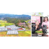 奋进2025丨葛家镇：葛家如家，专精产业落地特色辣椒飘香