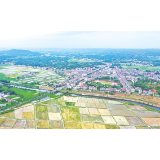 奋进2025丨沙市镇：绘梦沙市，做优农业做实项目奋进新征程