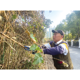 点赞热心老李，义务除草护出行