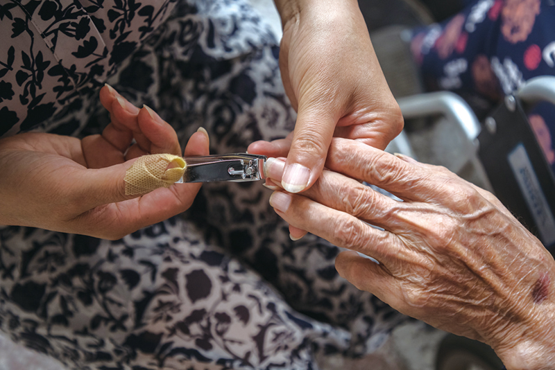 04、05版镜头重阳-12.jpg 04、05版镜头重阳-12.jpg