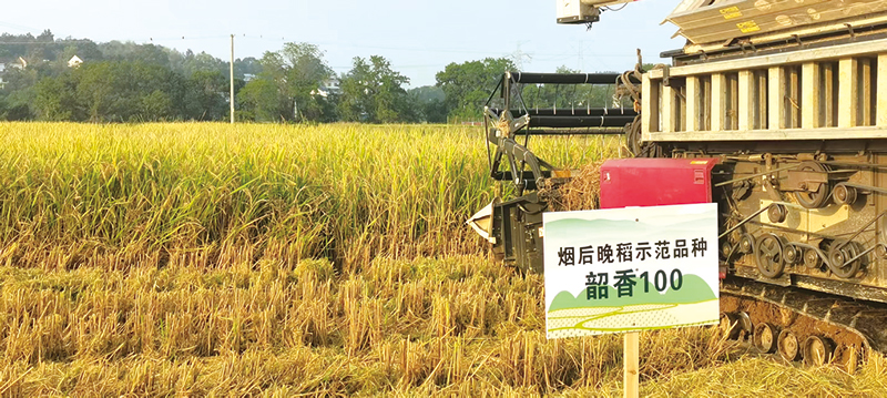 03版时政镇村-4.jpg 03版时政镇村-4.jpg