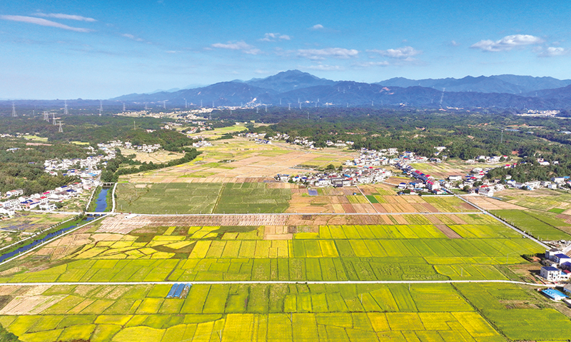 03版时政镇村-2.jpg 03版时政镇村-2.jpg