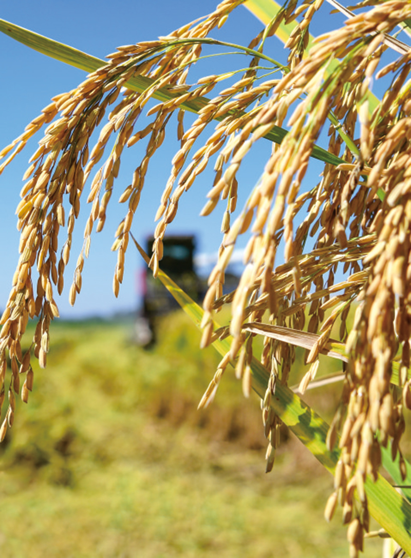 03版时政镇村-3.jpg 03版时政镇村-3.jpg