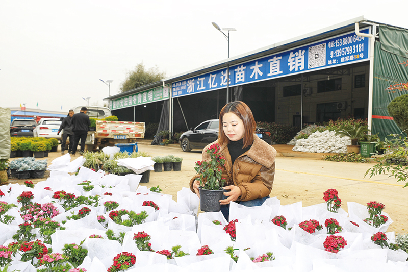 03版经济-3.jpg 03版经济-3.jpg