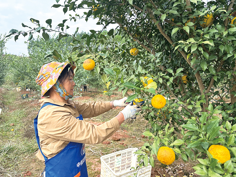 04版时政镇村-3.jpg 04版时政镇村-3.jpg