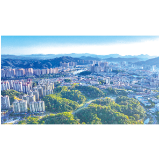 执法刚服务柔，高效精准守护绿水青山