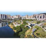 城市向南，青枫浦上起新城