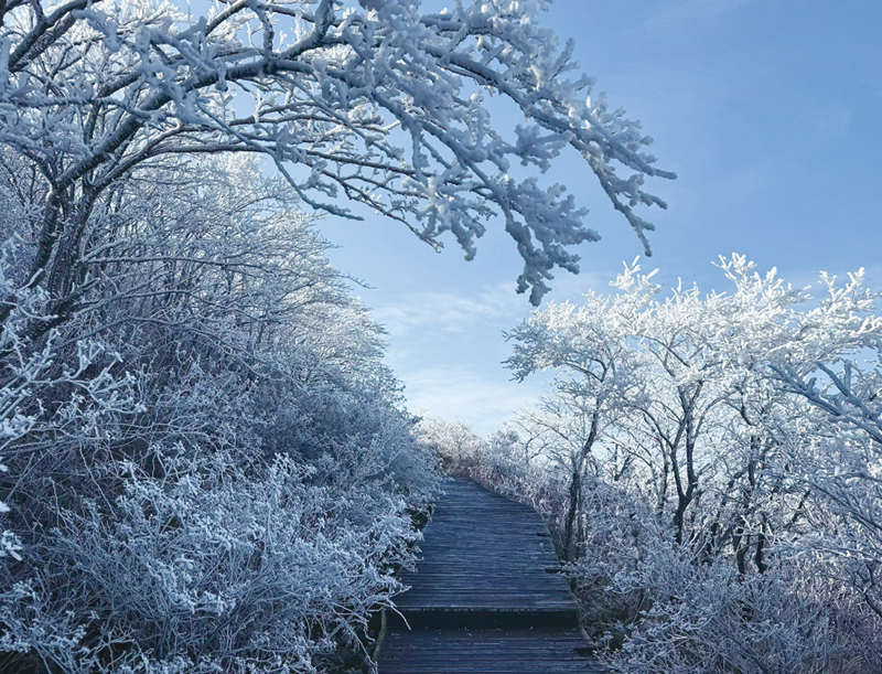 01版封面-11.jpg 01版封面-11.jpg