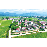 古港镇：民意落地生根“问题清单”变“幸福答卷”