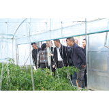 看新型农村集体经济如何“八仙过海”