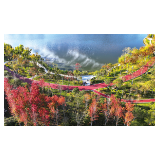 满城斑斓色 赏景正当时