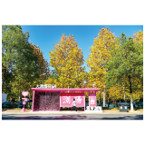 “粉色站台”出圈，政企合作扮靓城市“微空间”