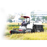 普迹镇：冬闲田不闲，轮作促增收