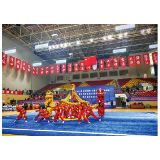 浏阳第四届校园武术大赛上演“功夫盛宴”