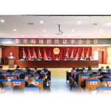 “双代表”联动，议出基层治理新路径