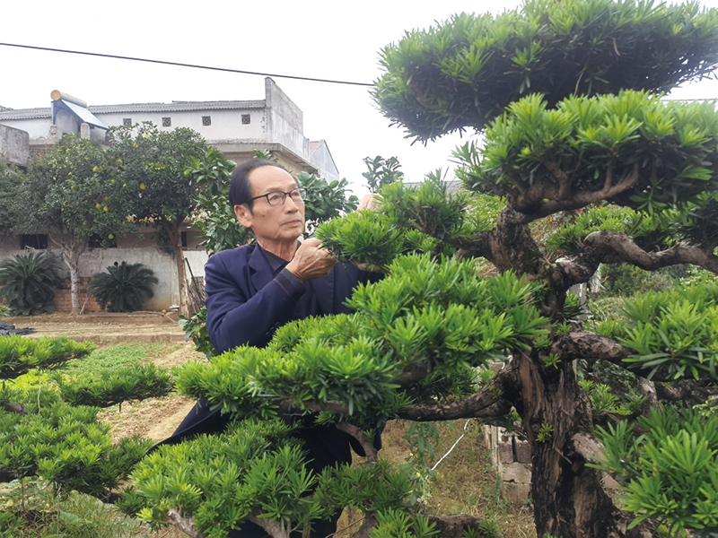 06版创文-5.jpg 06版创文-5.jpg