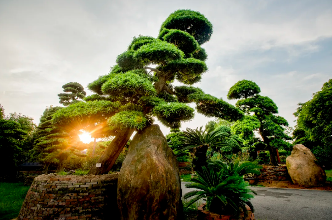 QQ浏览器截图20251211112035.png QQ浏览器截图20251211112035.png