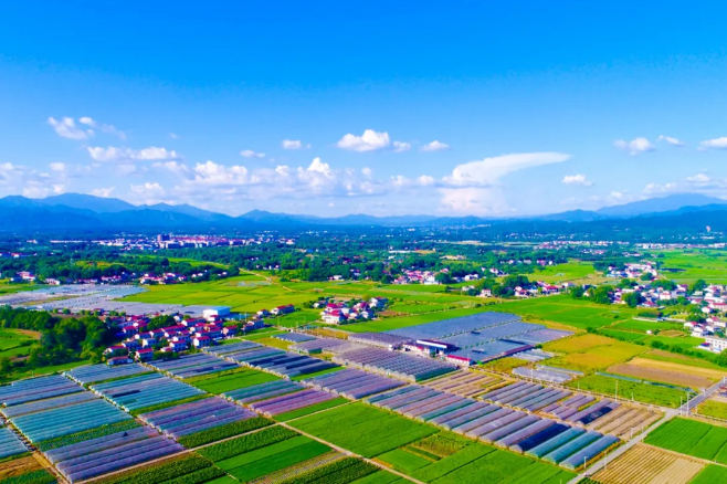 QQ浏览器截图20251211111907.png QQ浏览器截图20251211111907.png