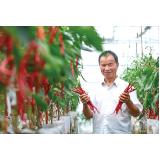 特色产业百花齐放，乡村振兴浏光溢彩