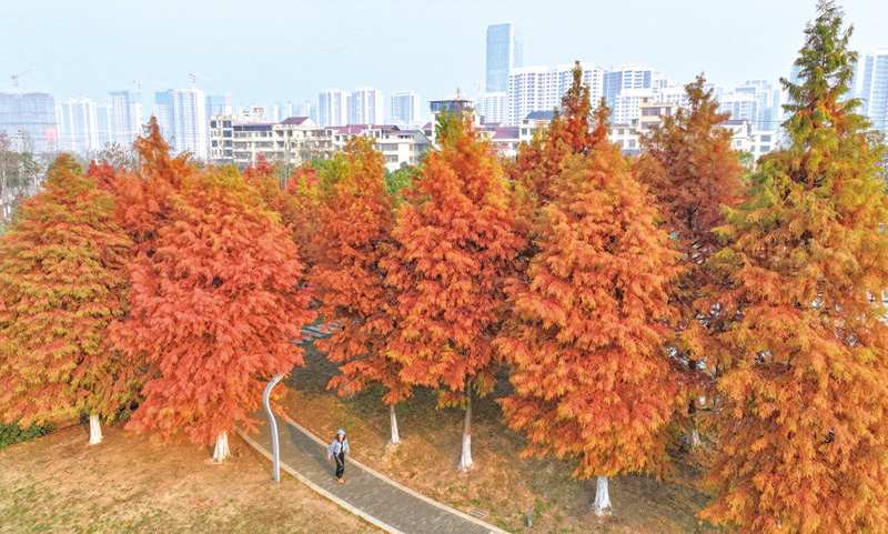 01版封面-11.jpg 01版封面-11.jpg