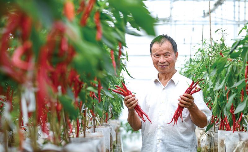 04、05版县域经济-7.jpg 04、05版县域经济-7.jpg