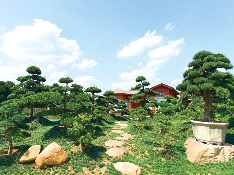 04、05版县域经济-5.jpg 04、05版县域经济-5.jpg