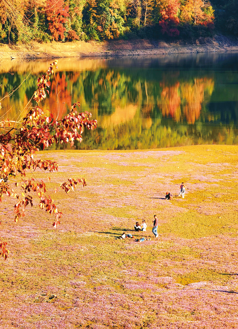 05版民生镜头-3.jpg 05版民生镜头-3.jpg