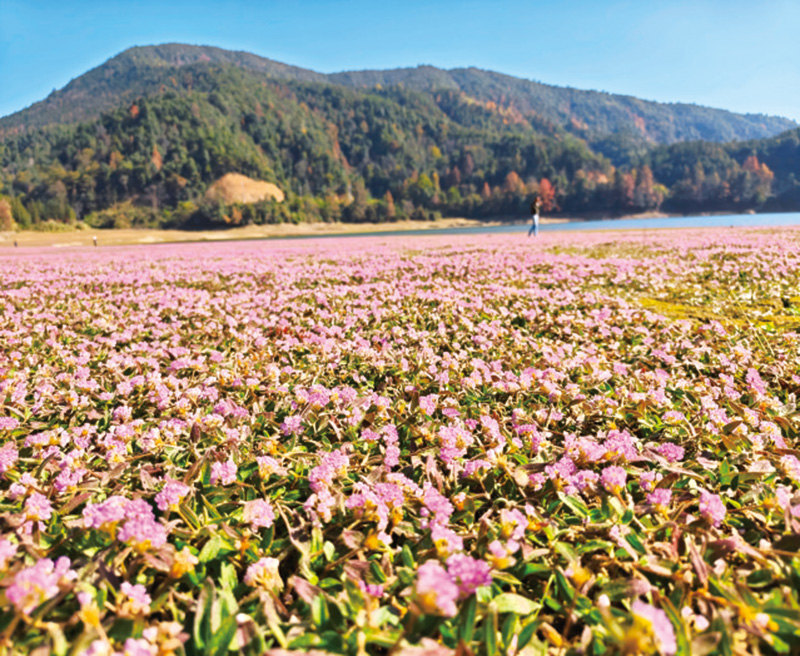 05版民生镜头-5.jpg 05版民生镜头-5.jpg