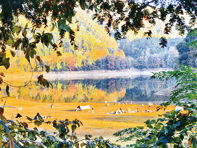 05版民生镜头-6.jpg 05版民生镜头-6.jpg