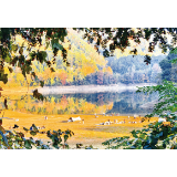 野生花海 静燃成诗 古港宝盖水库吸引大批游客打卡