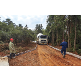 烟田连片 锥栗飘香 特色产业绘就黄桥振兴新画卷
