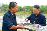始信泥土有芬芳——浏阳市农业科技先锋伍国强获评“全国先进工作者”
