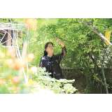 六旬“花匠”用琴声与花草点缀诗意人生