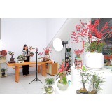 让“一株苗”长成“全产业链” 柏加镇探索“花木之乡”共富新路径