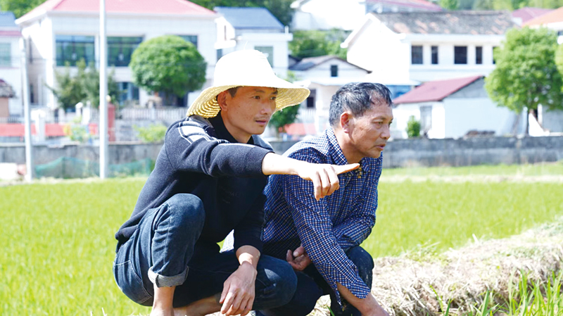 05版民生深读-4.jpg