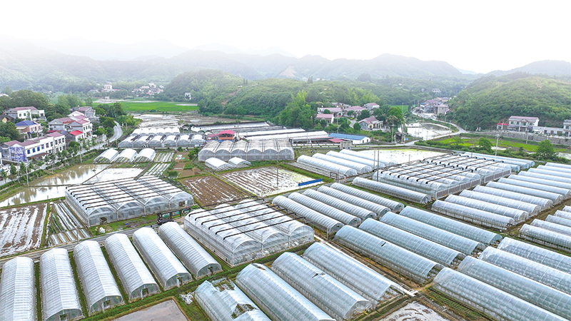 03版镇村-3.jpg