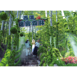 文旅小镇靠什么接住“泼天流量”？