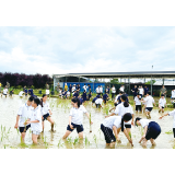 赓续农耕文化 严守耕地红线
